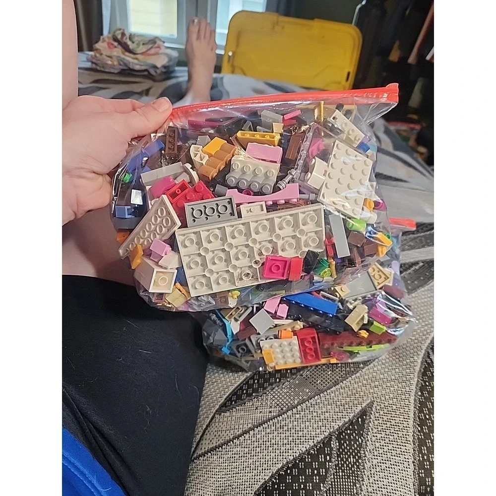 1 Gallon Of Legos